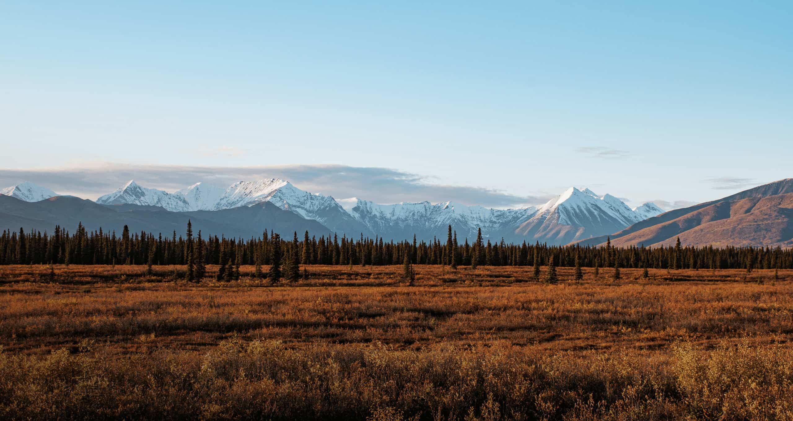 Giver - Viaggi in Alaska