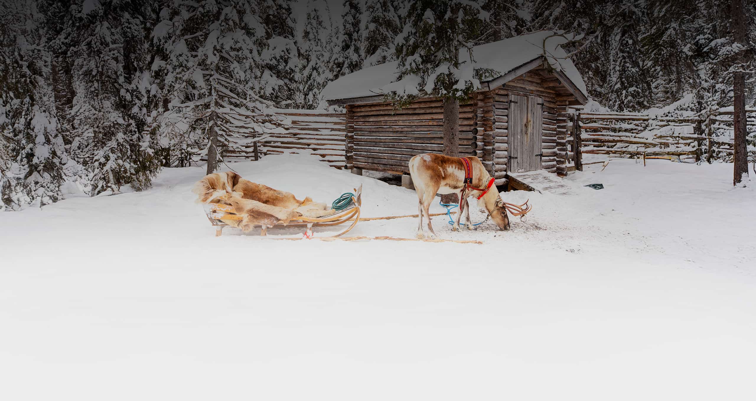 Giver - Viaggi in Finlandia