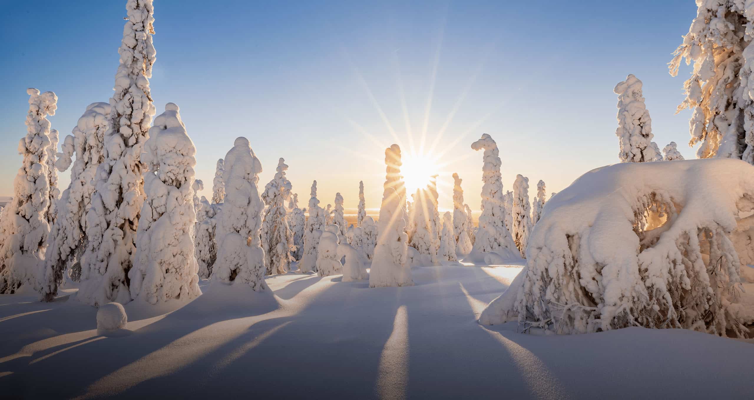 Giver - Viaggi in Svezia