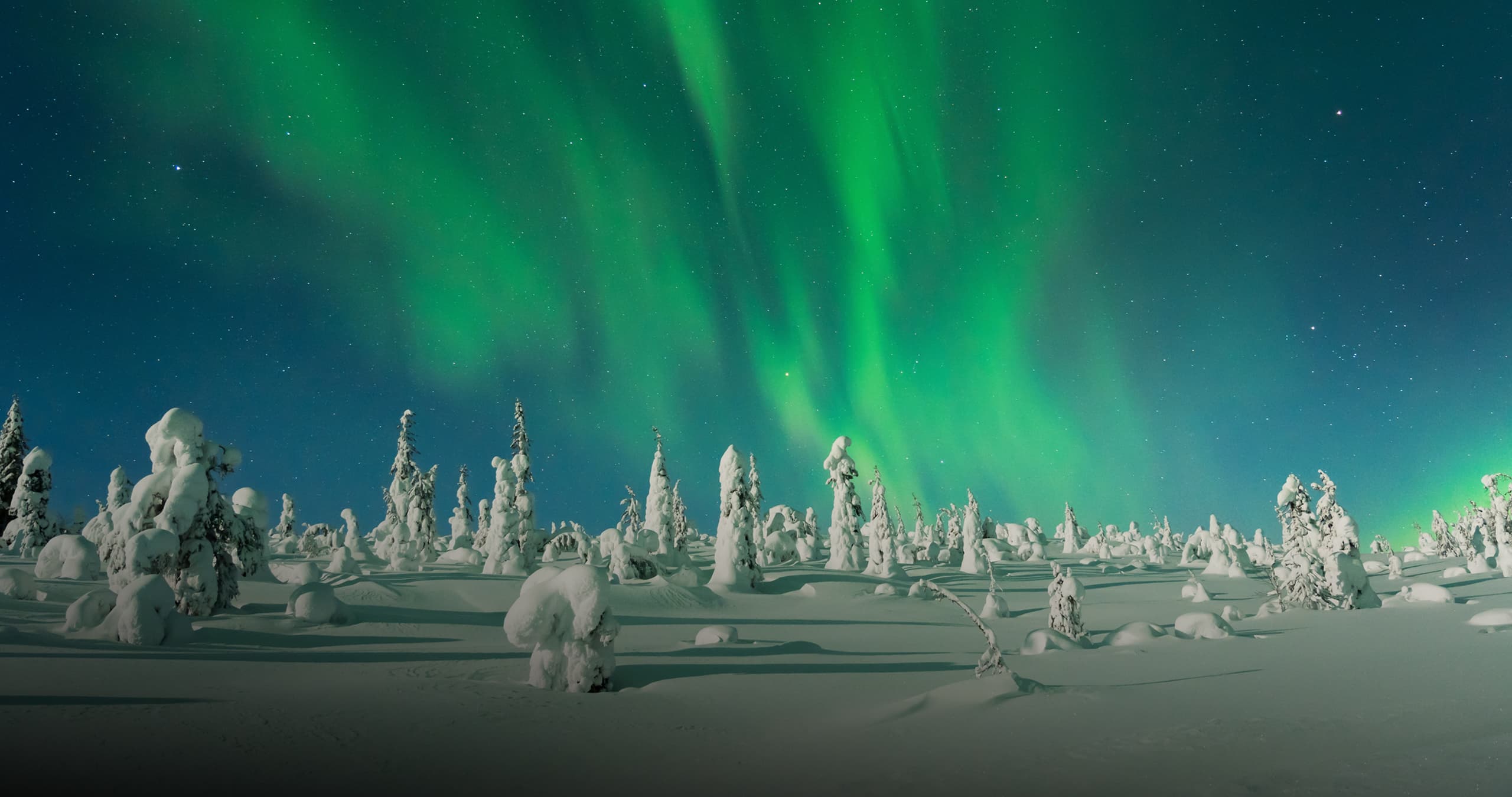 Giver - Viaggi in Lapponia finlandese