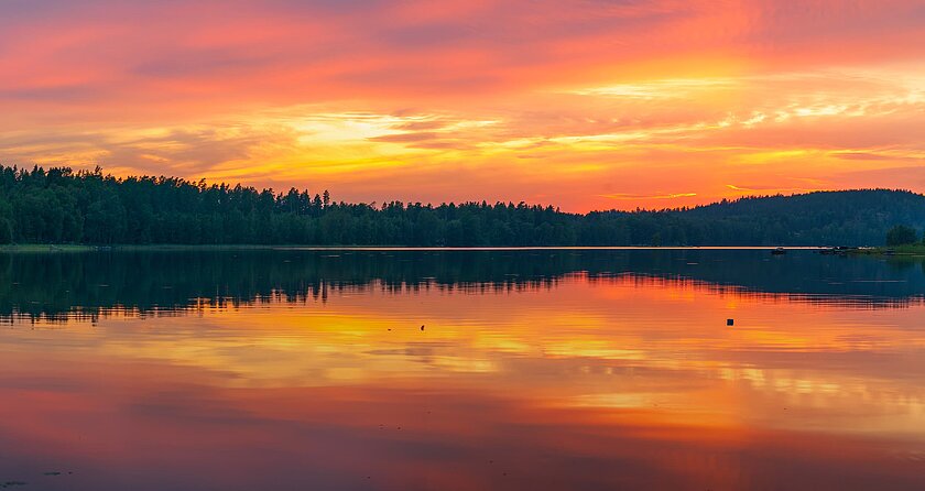 data_item.tx_mask_image.0.alternative